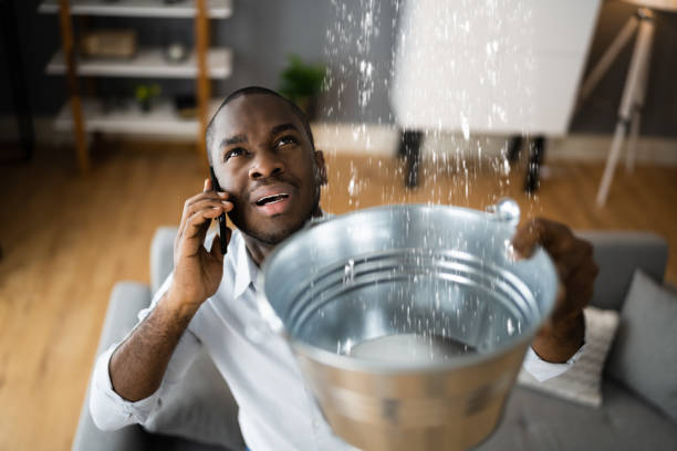 Best Ceiling water damage repair  in Olmos Park, TX