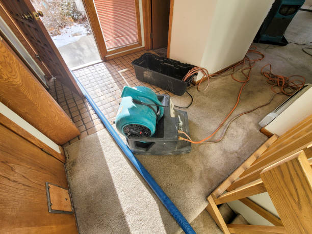 Best Water damage restoration process  in Olmos Park, TX