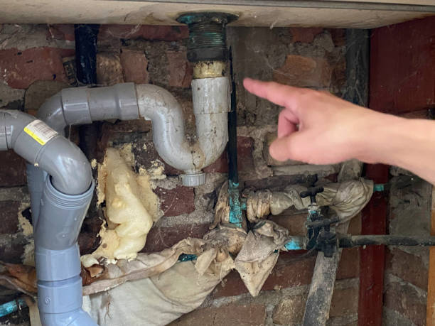 Best Flood restoration services  in Olmos Park, TX