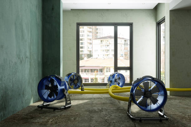 Best Ceiling water damage repair  in Olmos Park, TX